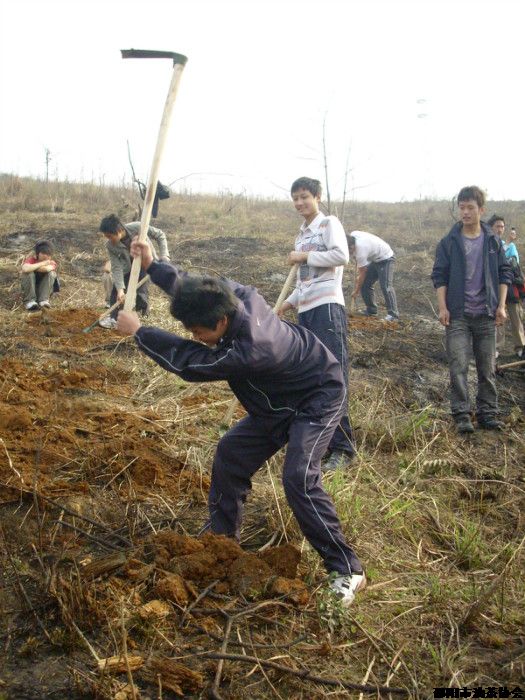 2009年03月17日師生植樹